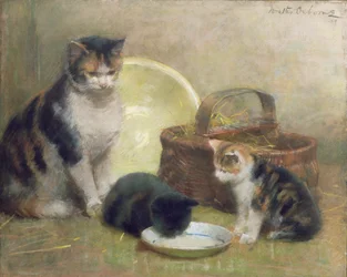 Macska és kiscicák, 1889